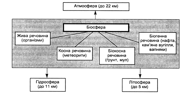 Контрольная работа: Біогеохімічні цикли структура загальна характеристика цикли вуглецю азоту кисню сірки