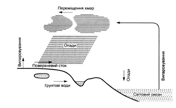 Контрольная работа: Біогеохімічні цикли структура загальна характеристика цикли вуглецю азоту кисню сірки