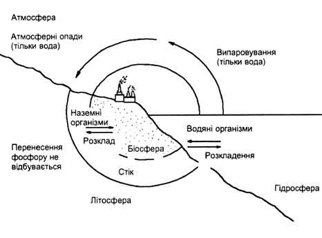 Контрольная работа: Біогеохімічні цикли структура загальна характеристика цикли вуглецю азоту кисню сірки