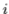 \(i\)